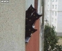 cat-gallery354.jpg