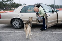 Rescuing a Dog